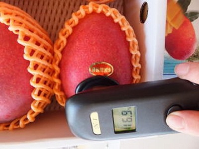 マンゴー 【数量限定】鹿児島 与論島 アップルマンゴー 特A秀品 大玉 ４個 約2kg 化粧箱入り 【2026年発送 先行予約】| マンゴー 与論産 マンゴー 甘い マンゴー 濃厚な味 マンゴー 与論島 マンゴー