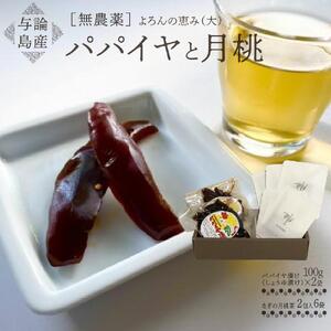 【与論島産】　よろんの恵み（大） パパイヤと月桃|お茶 茶葉 パパイヤ 月桃茶 お茶 パパイヤ漬け ティーバック お茶 ノンカフェイン