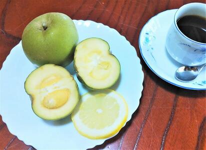 【先行予約】希少！あま～い南国のリンゴ【ホワイトサポテ】1kg（3～6個）