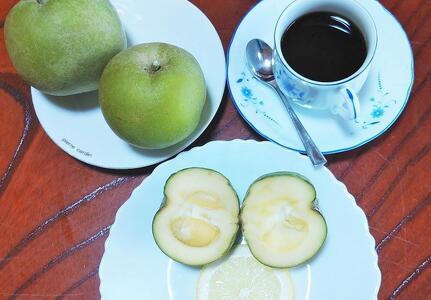 【先行予約】希少！あま～い南国のリンゴ【ホワイトサポテ】1kg（3～6個）