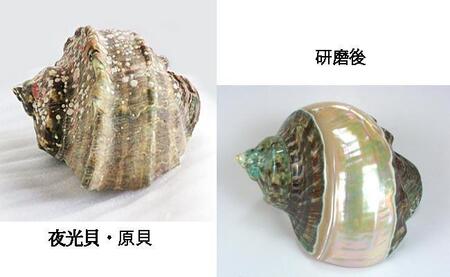 夜光貝を素材にした「ピアス」貝工房かざはな【EPH-6】