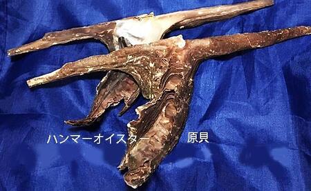 黒須弥山を素材にした「リング」貝工房かざはな【RS-1】