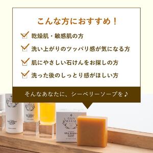 グアマラルシーベリーソープ 100g 2個セット サジー石鹸