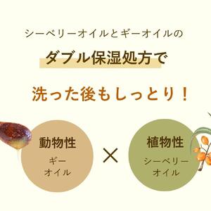 グアマラルシーベリーソープ 100g 2個セット+ローション サジー 沙棘