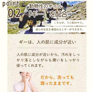 グアマラルシーベリーソープ 100g 2個セット+ローション サジー 沙棘