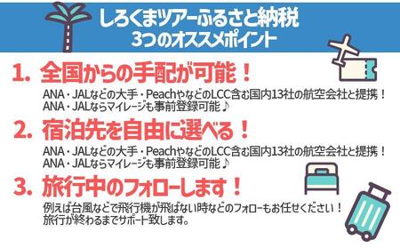 【那覇市】しろくまツアーで利用可能なWEB旅行クーポン(90,000円分)