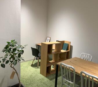 【3本セット】国内産 亜熱帯観葉植物 人気のフィカス・ウンベラータなど 8号 丸鉢 沖縄柄飾り布つき