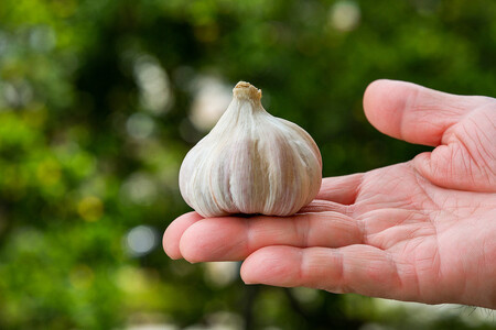 沖繩県産やんばる若鶏の丸焼き ハイグレードローストチキン ハーブ味 (2羽カット済み) ちょっとぜいたく チキンハウス 鶏肉 肉 にく 丸焼き 青森産ニンニク オリーブオイルを使用 ギフト お祝い パーティ 沖縄県 那覇市