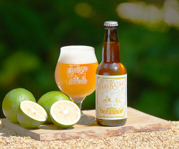 桜坂ブルワリークラフトビール　330ml×6本セット(3種類2本づつ)