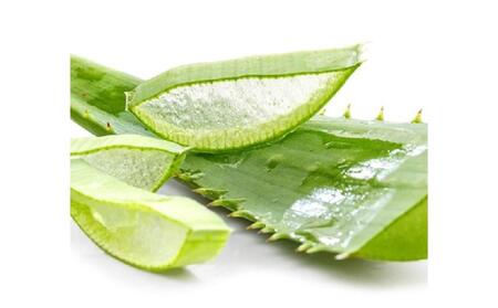 チュフディナチュール石鹸化粧水セット<アロエ>