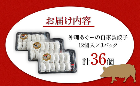 沖縄あぐーの自家製餃子