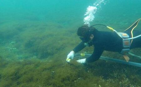 もずキムの沖縄生もずくお試し６点セット自家製三杯酢付き｜もずキム　沖縄　人気　もずく