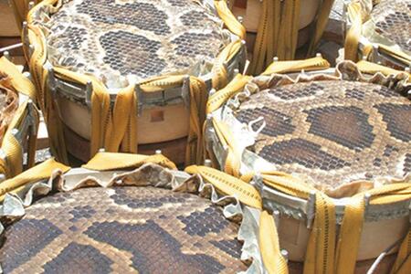 【琉球楽器またよし】沖縄三線ふるぽ強化張りセット（黒檀棹）