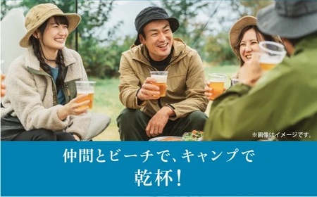 オリオン　サザンスター青（500ml×24本）*県認定返礼品／オリオンビール*