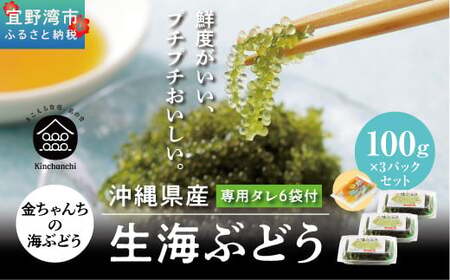 沖縄県産 生海ぶどう 100g×3パック セット