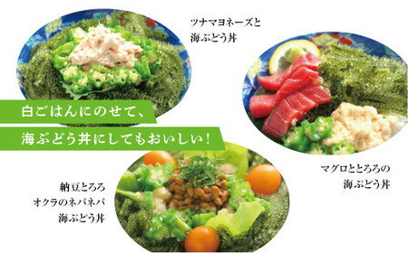 沖縄県産 生海ぶどう 100g×3パック セット