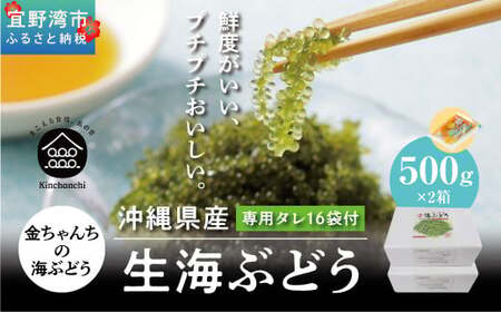【沖縄県産】生海ぶどう 1kg (500g×2箱)