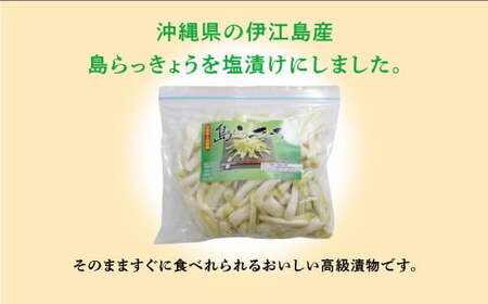 島らっきょう 塩漬け 500g