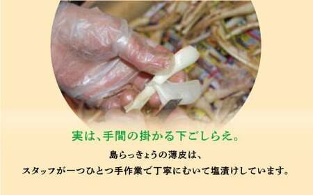 島らっきょう 塩漬け 500g