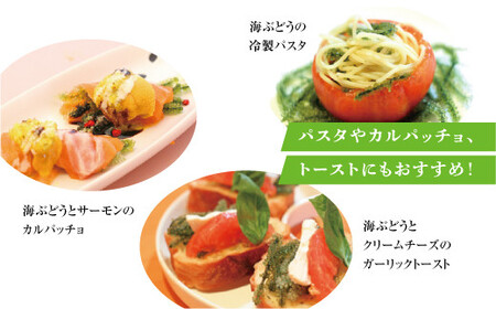 沖縄県産 生海ぶどう 100g×10パック セット