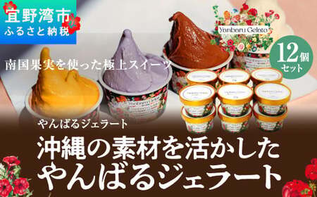 沖縄の素材を活かしたやんばるジェラート 12個セット アイスクリーム アイス ジェラート