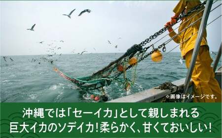 【沖縄県産 巨大イカ】ソデイカ短冊