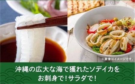 【沖縄県産 巨大イカ】ソデイカ短冊