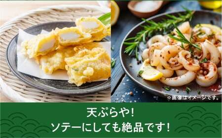 【沖縄県産 巨大イカ】ソデイカ短冊