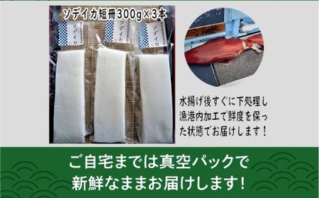 【沖縄県産 巨大イカ】ソデイカ短冊