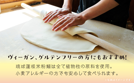 湧水栽培！琉球蓮根の米粉麺 (128g) 細麺 5個セット 国産 [ 小麦不使用 グルテンフリー 無添加 化学調味料不使用 ベジタリアン ヴィーガン ] | NATURAL TONE | めん 生麺 万能麺 和食 洋食 中華 和洋中 | 健康志向 健康サポート アレルギー対応 糖質 ダイエット 食物繊維豊富 | れんこん レンコン 蓮根パワー | 沖縄県 宜野湾市 送料無料