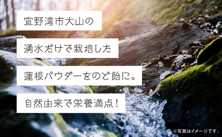 琉球蓮根のど飴 (100g) × 5袋 セット [ 国産 無添加 保存料不使用 添加物不使用 ] | 自然栽培の蓮根と甜菜糖でつくったのど飴 体に優しい | NATURAL TONE | のどあめ あめ 飴 アメ キャンディ ドロップ | 蓮根パワー 食物繊維 | 沖縄県 宜野湾市 送料無料