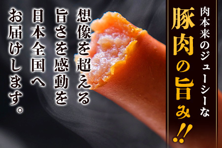 やえやまファームのアグー豚(F1種) 南ぬ豚 業務用あらびきソーセージ 1.2kg(400g×3パック)E-34