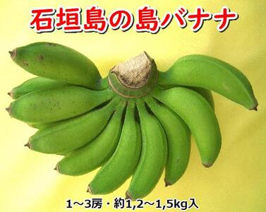石垣島の島バナナ、1～3房（約1,2～1,5kg前後入り） 爽やか酸味の