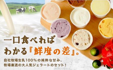 ＜バレンタイン発送2月3日申込まで＞石垣島ミルミル本舗 南の島から島素材ジェラート！【沖縄セット 12個入り】（1個 132ml）　Z-6　【石垣島 石垣市 沖縄県石垣市 セット ジェラート 石垣島産 八重山】