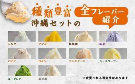 ＜バレンタイン発送2月3日申込まで＞石垣島ミルミル本舗 南の島から島素材ジェラート！【沖縄セット 12個入り】（1個 132ml）　Z-6　【石垣島 石垣市 沖縄県石垣市 セット ジェラート 石垣島産 八重山】