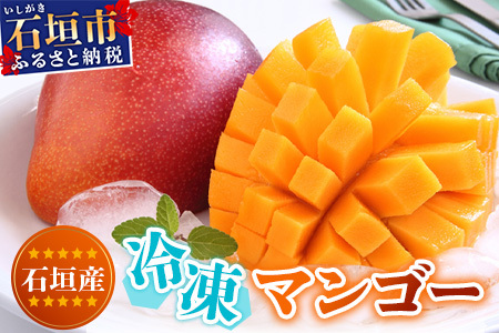 沖縄県産☆冷凍マンゴー【5kg】