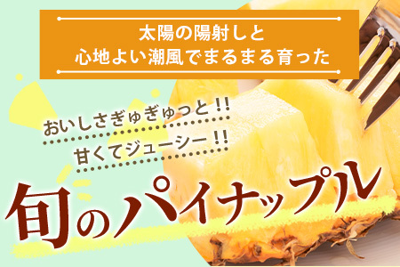 【訳あり】 石垣島産パイナップル4～10個 約4kg 《2025年5月から順次発送いたします》KP-15