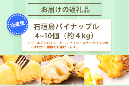 【訳あり】 石垣島産パイナップル4～10個 約4kg 《2025年5月から順次発送いたします》KP-15