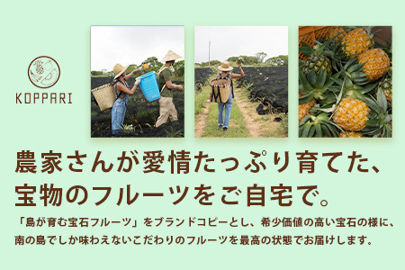 【訳あり】 石垣島産パイナップル4～10個 約4kg 《2025年5月から順次発送いたします》KP-15