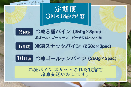 石垣島冷凍パイナップル3回定期便　EF-11