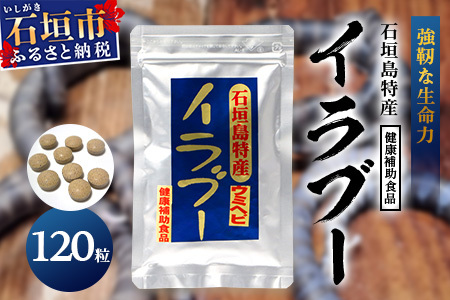 石垣島産「イラブー(海ヘビ)」粉末 120粒入り袋　健康補助食品・約1ヶ月分【 海へび 海蛇 栄養補助食品 サプリメント サプリ 錠 粒 アミノ酸 ミネラル ビタミン 】SI-35