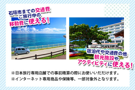 沖縄県石垣市　日本旅行　地域限定旅行クーポン30,000円分 【 沖縄県石垣市 チケット 旅行 宿泊券 ホテル 観光 旅行 旅行券 交通費 体験  宿泊 夏休み 冬休み 家族旅行 ひとり カップル 夫婦 親子 トラベルクーポン 石垣島旅行 】 NR-1