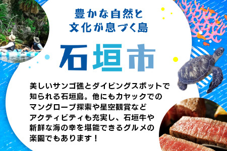 HISの沖縄県石垣市の対象ツアーに使えるふるさと納税クーポン券60,000円分 HS-5