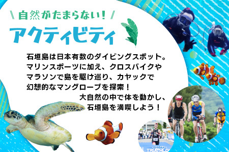 HISの沖縄県石垣市の対象ツアーに使えるふるさと納税クーポン券60,000円分 HS-5