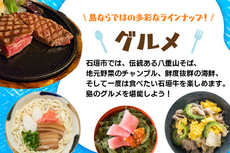 HISの沖縄県石垣市の対象ツアーに使えるふるさと納税クーポン券60,000円分 HS-5