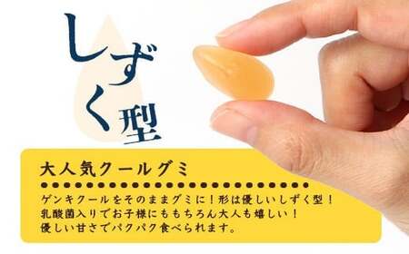 【島外不出のゲンキくんグッズが返礼品に!!】八重山ご当地キャラクターゲンキくん クールグミ 12袋【八重山ゲンキ乳業 お土産 観光 ゲンキくん ゲンキクール サイダー 乳酸菌入り】OP-3【日本最南端寺院石垣島桃林寺 ご祈祷ステッカー付】