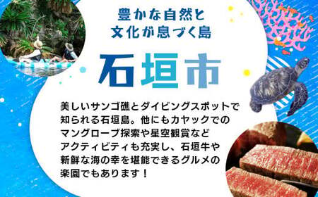 HISの沖縄県石垣市の対象ツアーに使えるふるさと納税クーポン券300,000円分 HS-6