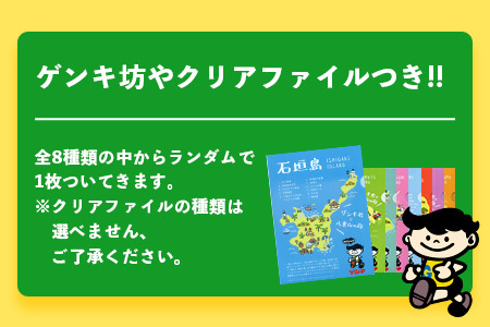 【島外不出のゲンキくんグッズが返礼品に!!】八重山ご当地キャラクターゲンキくん クールサイダー 24本 200ml×24本 【 八重山ゲンキ乳業 お土産 観光 ゲンキくん ゲンキクール サイダー お中元 お歳暮 御中元 御歳暮 】OP-4