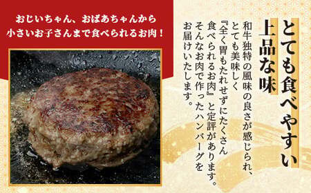 石垣島産 黒毛和牛 新里牛 職人手ごね生ハンバーグ (150g×6) 合計900g SZ-7