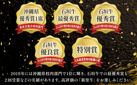 石垣島産 黒毛和牛 新里牛 濃厚赤身ローストビーフ用(ソトモモ)(200g~300g×2個)合計500g以上 SZ-11